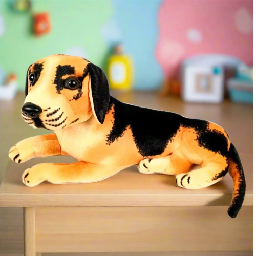 Gift shop near Kargil Agra,